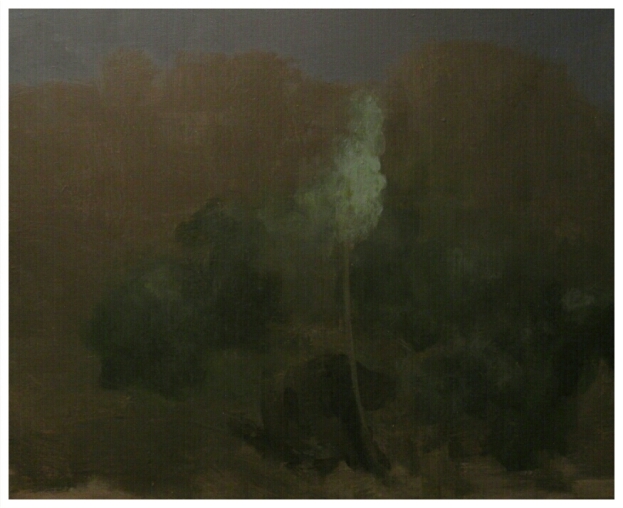 The gardener at night, 2013. Canvas 45x60cm(2)